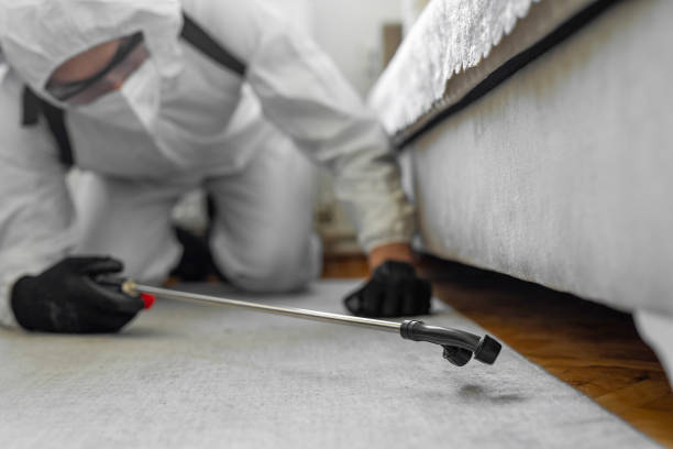Professional Cockroach Control technician working in Titusville, FL