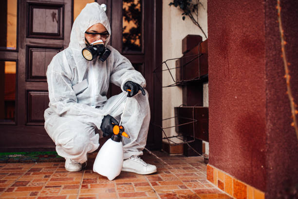 Reliable Cockroach Control contractor in Titusville, FL by Nex Pest Control